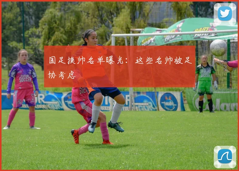国足换帅名单曝光:这些名帅被足协考虑
